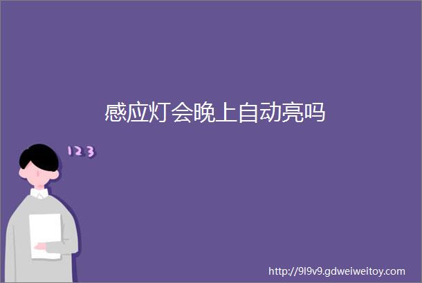 感应灯会晚上自动亮吗